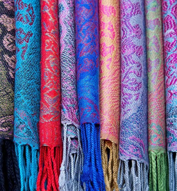 Elegance of Pashmina Shawls