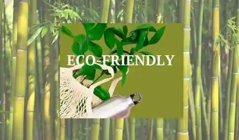 Eco-Friendly-Product
