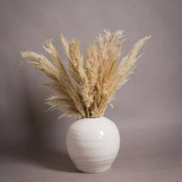 "Large white ceramic vase with dried pampas grass arrangement, minimalist neutral home decor for modern boho interiors, perfect for living room, bedroom, or entryway styling."