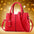 Diagonal Single Shoulder Ladies Handbag - Red / One Size - Hand bag